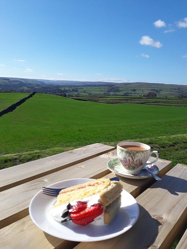 Teh beautiful view of Northumberland from Jill's cafe in Catton